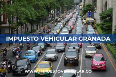 Impuesto Vehicular Granada (Meta)